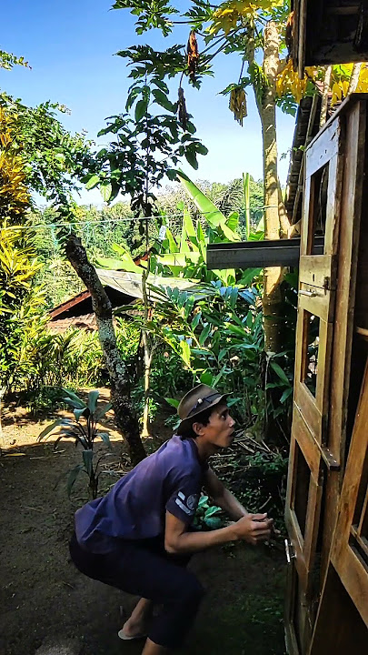 HAMPIR AJA MUKA KU KENA PATUK #comedy #funny #shortsvideo #tongwakaseurii #enyoykenbarudak