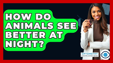 How Do Animals See Better At Night? - Optometry Knowledge Base