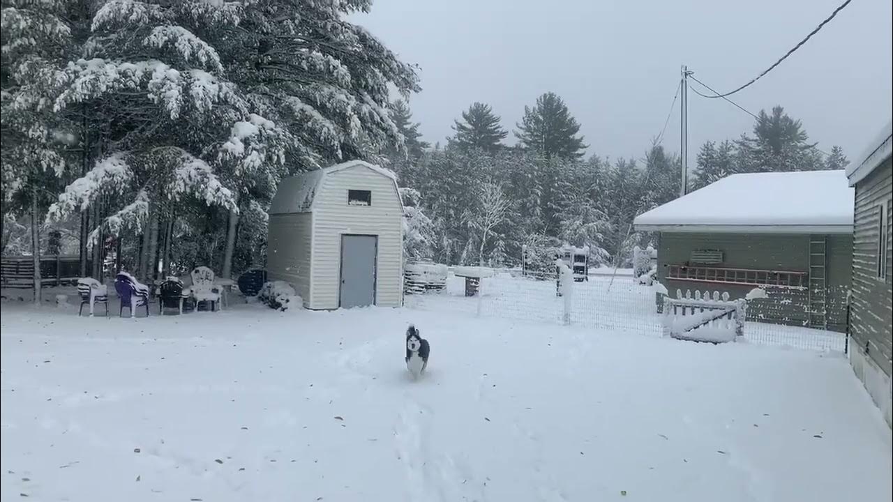 Snow in Michigan's Upper Peninsula YouTube