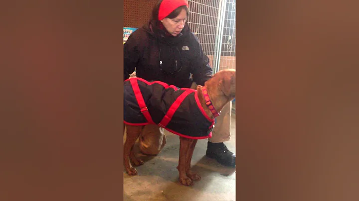 Baby Girl, with Suzanne, 1st day of captivity