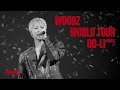 WOODZ Journey Live Clip WOODZ World Tour OO LI FINALE WOODZ Journey Live Clip WOODZ World Tour OO LI FINALE