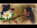 1 Час - Флейта североамериканских индейцев и звуки леса / Relaxing Native Flute & Birds Singing