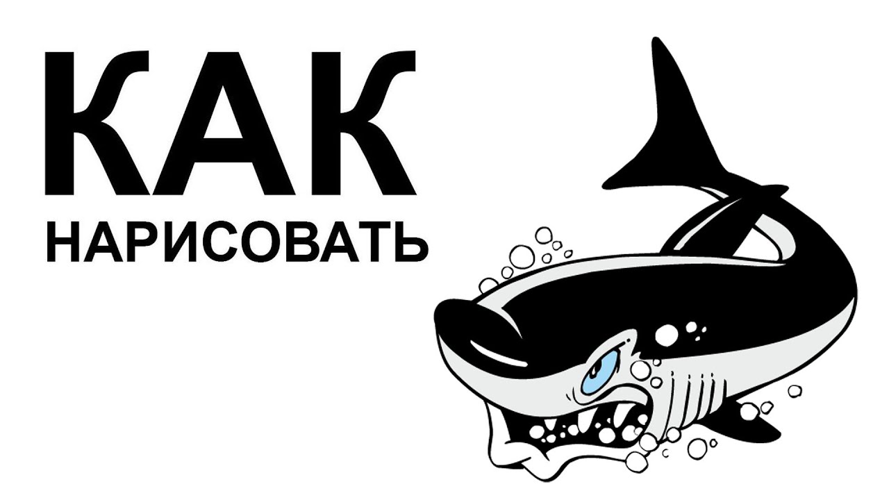 Как нарисовать в 3д акулу поэтапно Как нарисовать в 3д акулу поэтапно