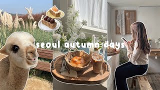 seoul vlog 🦙 alpaca world, autumn at nari park, more cafe hopping, night shopping in myeongdong