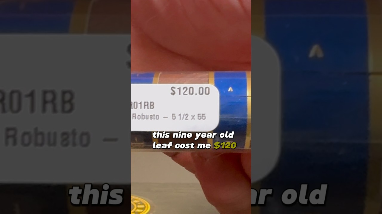 ЛИСТ ЗА 120 ДОЛЛАРОВ?!