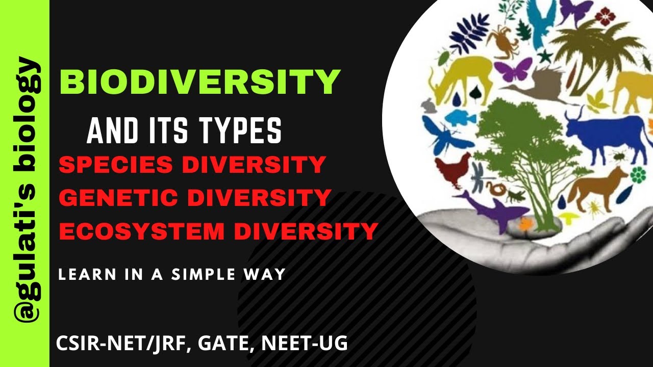 Biodiversity and its types Species diversity, diversity