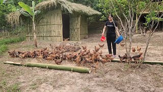 going to pick wild bamboo shoots to sell, buy chickens and fence the garden