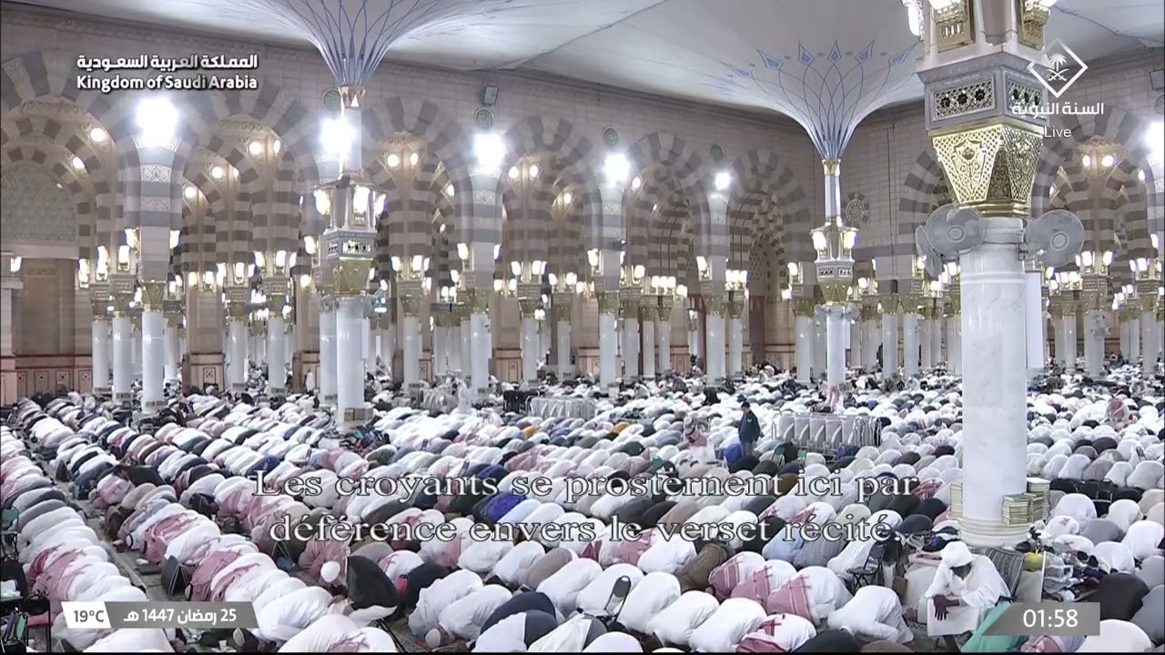صلاة التهجد للشيخ صلاح البدير ليلة 25 رمضان 1447هـ - التسليمة الأخيرة