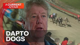 Dapto Dogs Say Goodbye After 89 Years A Current Affair