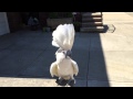 Dancing Cockatoo