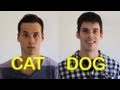 Catfriend vs dogfriend 2