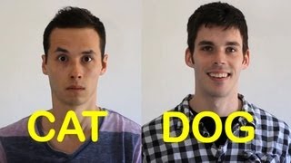 Cat-Friend vs Dog-Friend 2