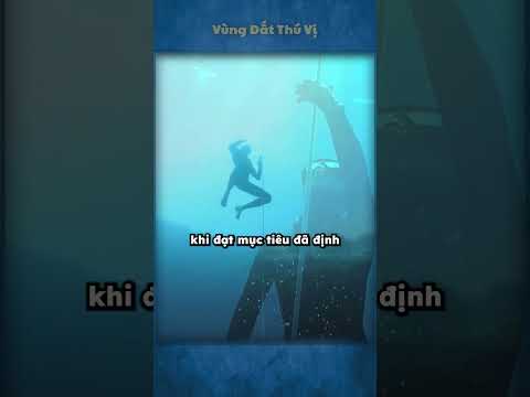 Video: Sinh vật biển và Sinh vật biển Tahiti dành cho thợ lặn