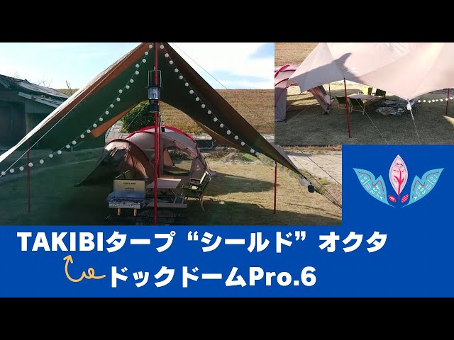 ピーク 雪峰祭限定 TAKIBIタープ シールド オクタ FES-430 【公式通販】