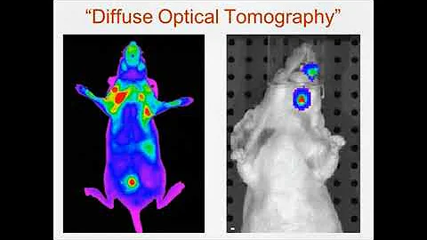 Physical limits of optical imaging