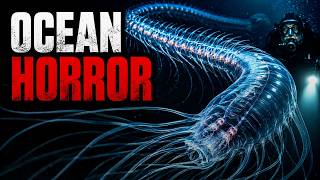 The Deep Sea Predator That Shouldn’t Exist… | Nature’s Perfect Nightmare)