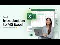excel basics