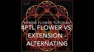 Hybrid Flower tutorial - 4ptl vs. extension