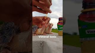 Bachho Ko Vimeral Tonic Dete Hueeshorts