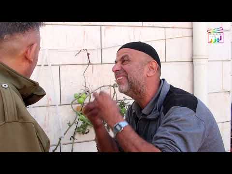 الشيكات الراجعةوالذهب الاحمر اجاكي عزك يا حمرا اعيش و اشوف الكرتونة بعشرة يارب