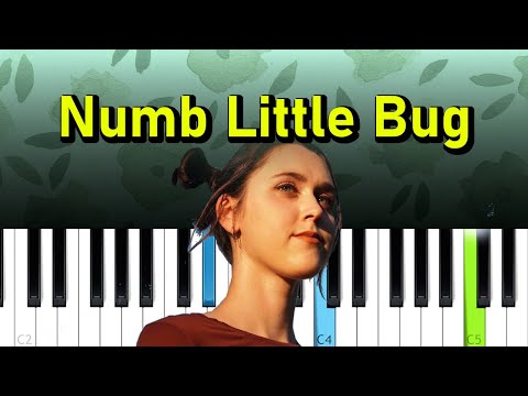Em Beihold - Numb Little Bug, tiktok  (Piano tutorial)