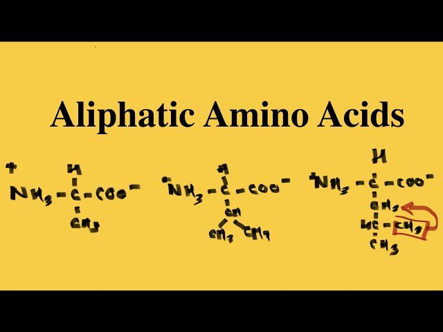 Aliphatic Amino Acids Structure