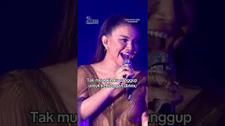 Rossa  Tega  All Access To Rossa 25 Shining Years