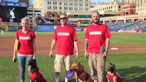DOGS HIT GRAND SLAM AT BASEBALL GAME!