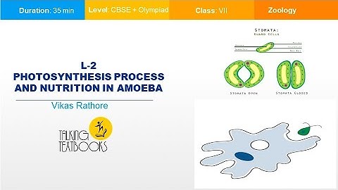 L 2 Photosynthesis Process and Nutrition in Amoeba | Class 7 Crash Course | Vikas Rathore | TTb