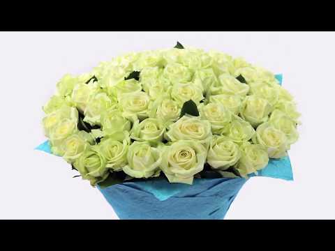 Video: Ինչ է նշանակում սպիտակ վարդեր