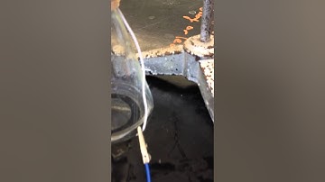 Makey Makey Drop Counter