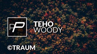 Teho - Woody [Original Mix] chords