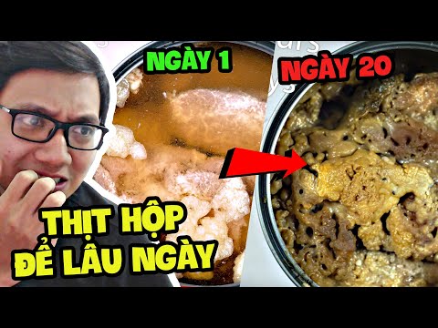 Video Tôi Để Thịt Hộp Ngoài Trời 20 Ngày Và Hậu Quả... - youtube