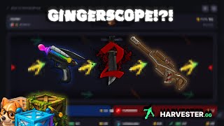 How We Pulled 4X Gingerscopes In Mm2 Murder Mystery 2