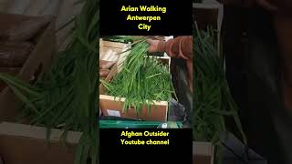 Download Lagu 10 seconds  walking antwerpen city Chiana Town Midday buy leek MP3