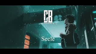 Asche x Mizeb Type Beat "Seele" (prod. Cronsenbeatz) sold