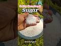 alternatives of sugar|refind sugar alternatives|natural sugar alternatives|natural sweetners#shorts