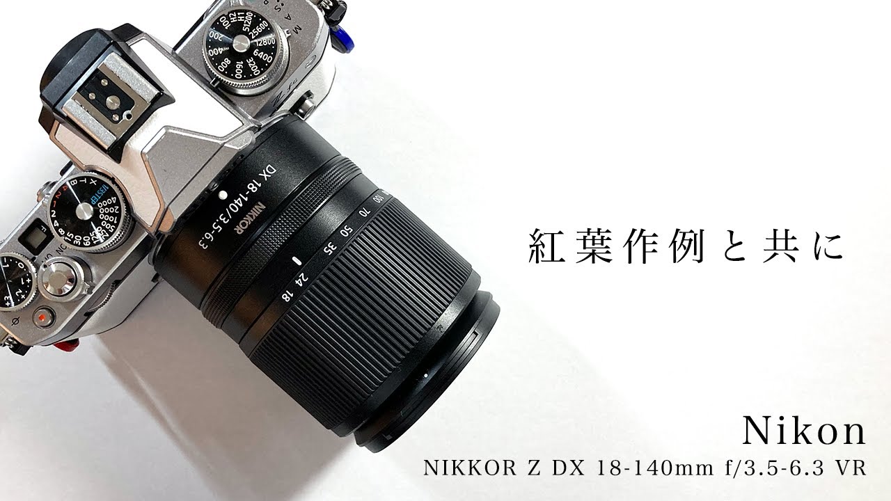 【超便利ズーム】ニコンから良いレンズが出てきたので京都嵐山の紅葉と共に紹介します【NIKKOR Z DX 18-140mm f/3.5-6.3 VR】