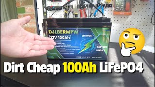 DJLBERMPW 12V 100Ah LiFePO4 Battery