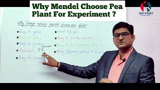 Why Mendel Choose Pea Plant for his Experiment || Heredity And Evolution || Class 10 || Genetics