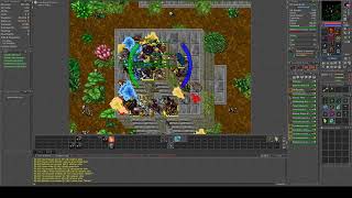 Tibia Vita Porth Hope battle