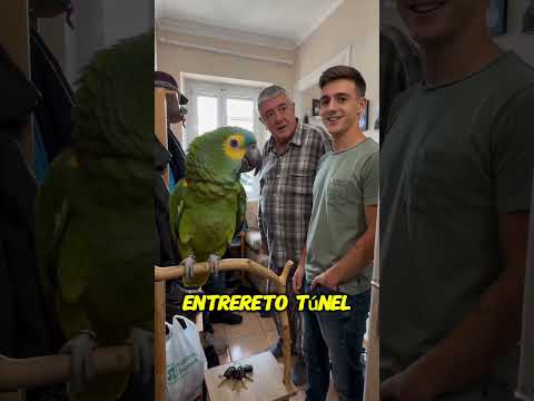 😂🦜 Presume de Pasar TODA la Mañana Lavando el Coche… Paco Cuenta la Verdad