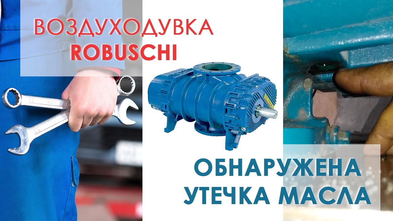 Robuschi воздуходувка | ремонт воздуходувок | предварительный осмотр 1 ...