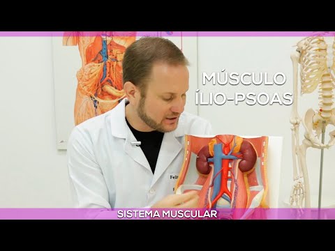 Vídeo: Por que meu músculo iliopsoas dói?