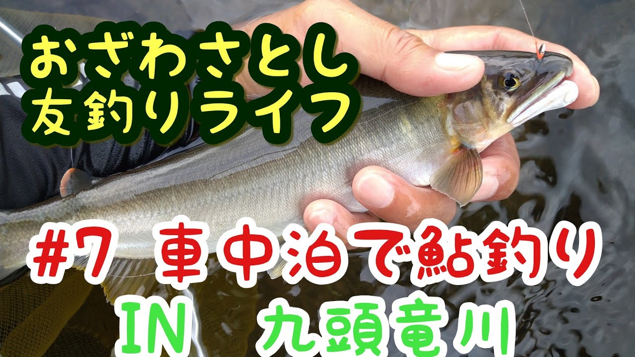 7 車中泊で鮎釣りin九頭竜川 鮎釣り おざわさとし友釣りライフ Youtube