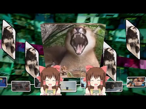 STAYTPMV