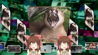 STAYTPMV