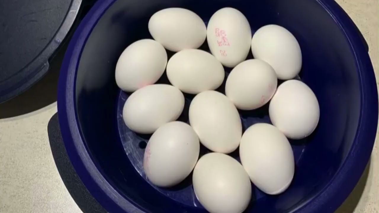 Intelli multicuiseur expliqué