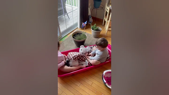 Watch And Enjoy - 12/29/20
