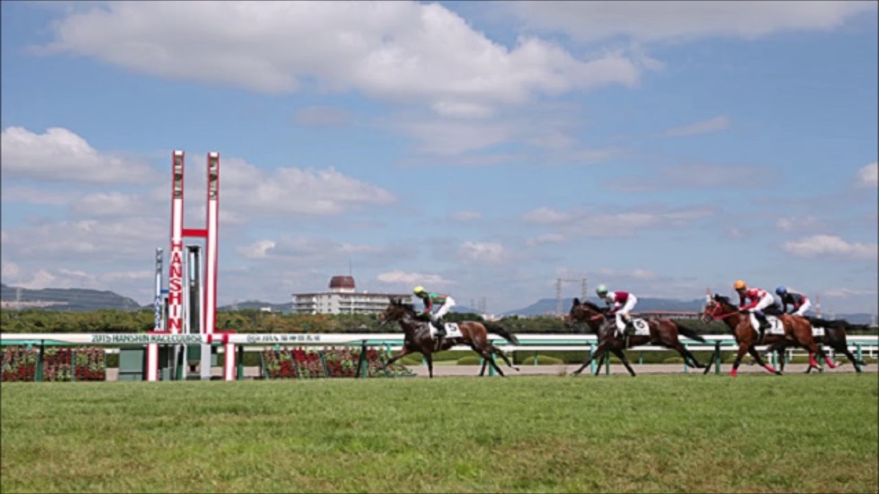 競馬］福島・新潟（一般）レースファンファーレ／JRA 通販